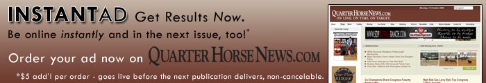 Quarter Horse